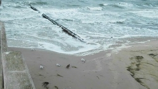 Mach dich fit mit Rehasport an der Ostsee!