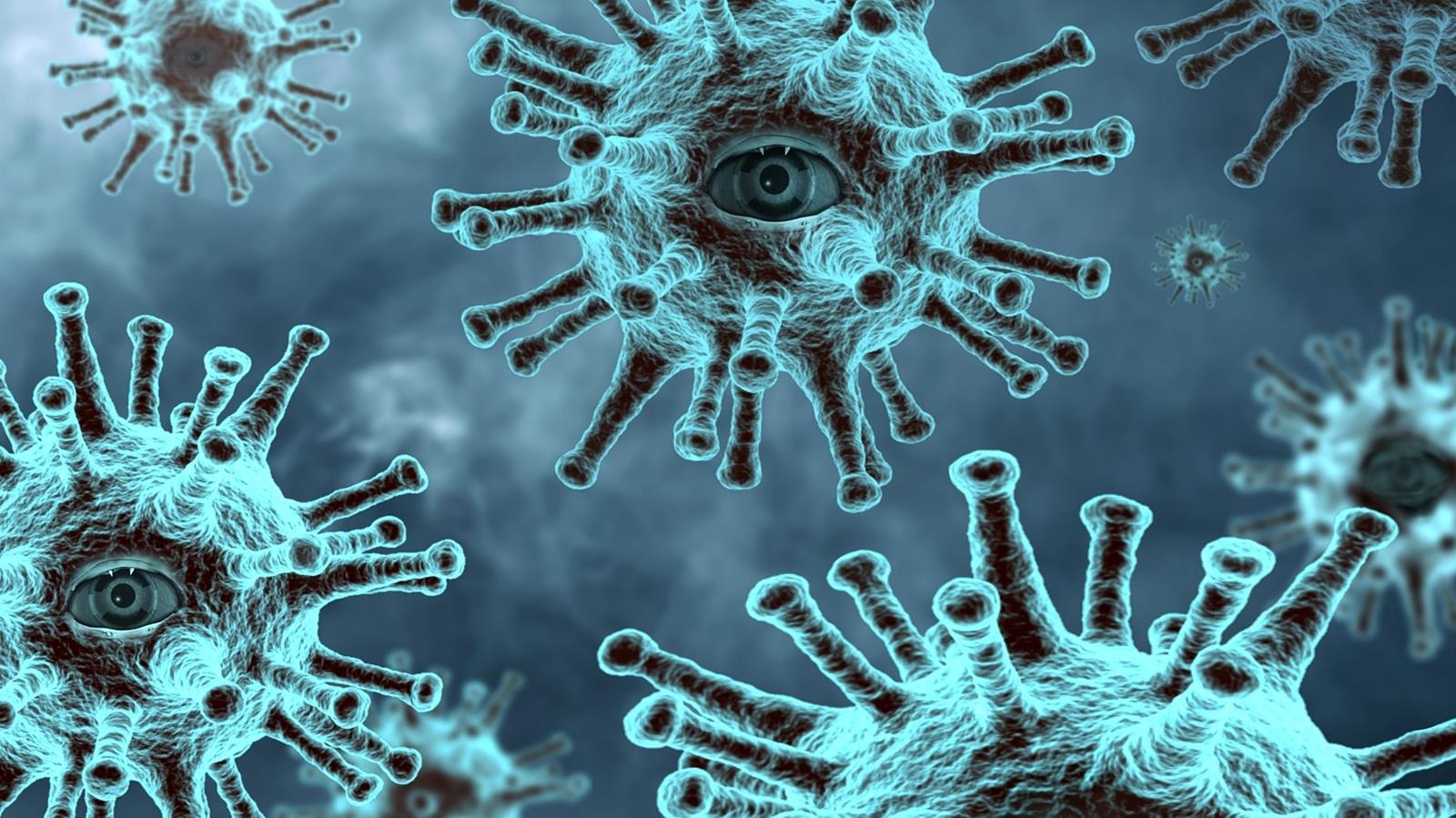 Virus