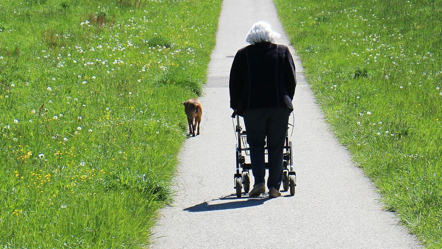 Noch Plätze frei: ROLLATOR-FIT® - Fortbildung am 4./5.8. in Kassel